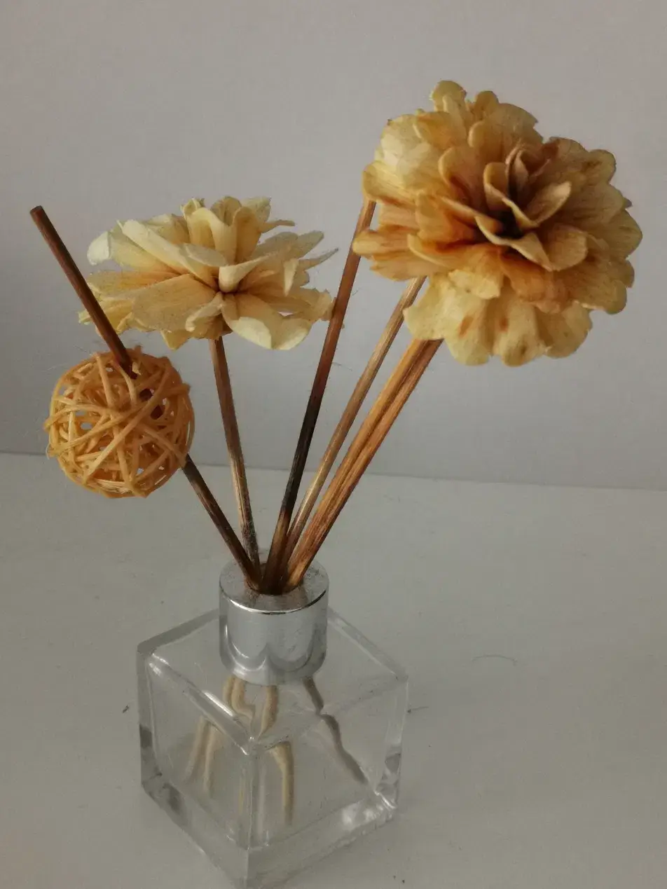 Ambientador de varillas con flores de sola — difusor con frasco de cristal
