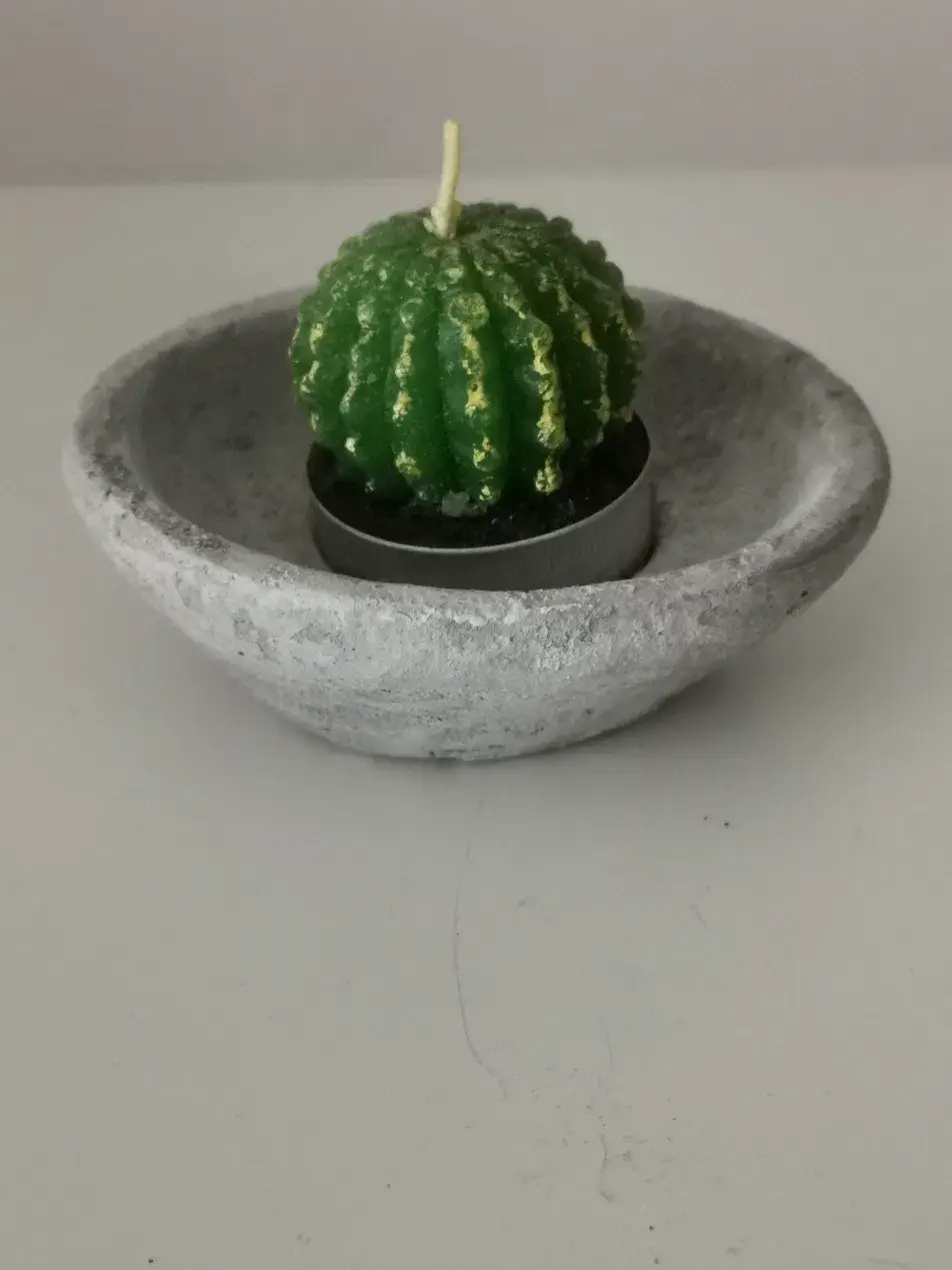Vela decorativa con forma de cactus y cuenco de cemento