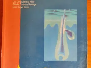 1000065162-1