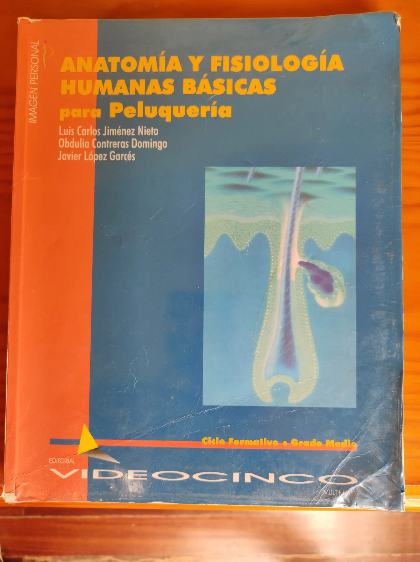 Anatomía y fisiología humanas básicas para peluquería