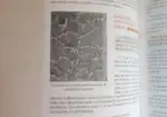 Anatomía y fisiología humanas básicas para peluquería