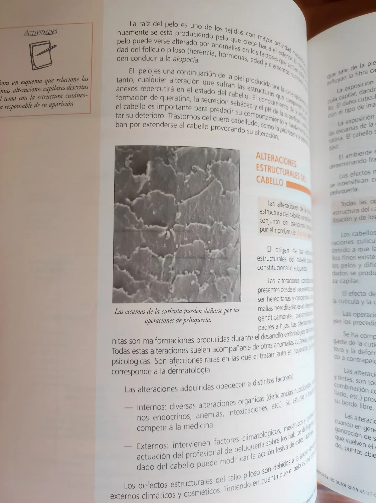 Anatomía y fisiología humanas básicas para peluquería