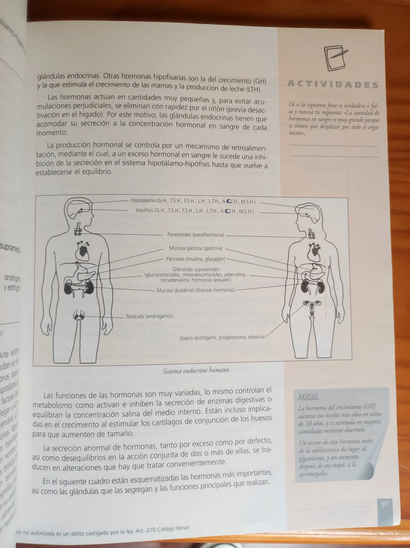 Anatomía y fisiología humanas básicas para peluquería