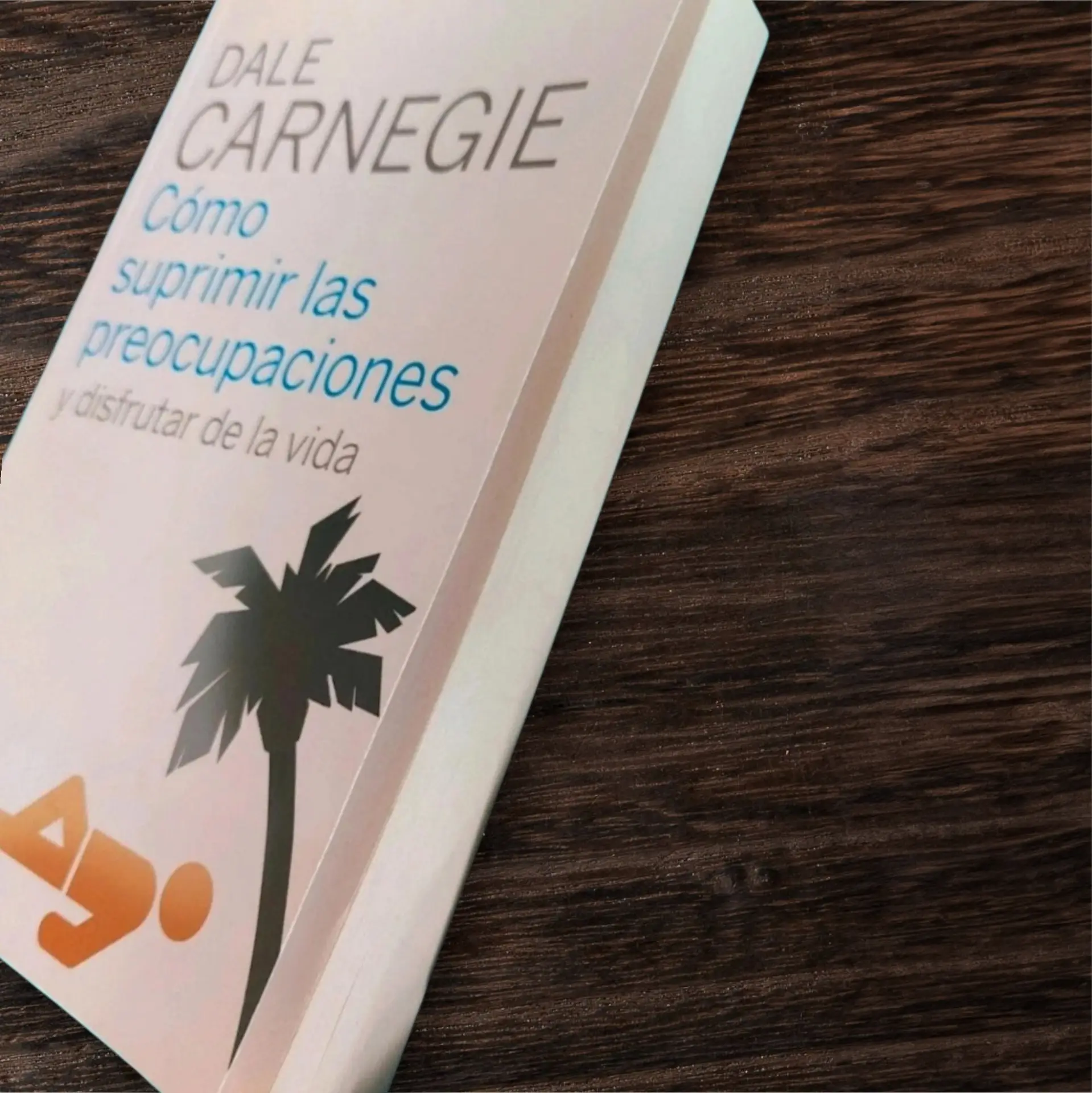 Libro Dale Carnegie Cómo suprimir las preocupaciones y disfrutar de la vida – Autoayuda Psicología