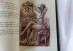 Andrómeda – José Alcalá-Zamora | Poesía erótica ilustrada | Tapa dura | Sial Ediciones |