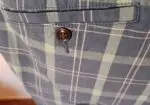 Bermudas