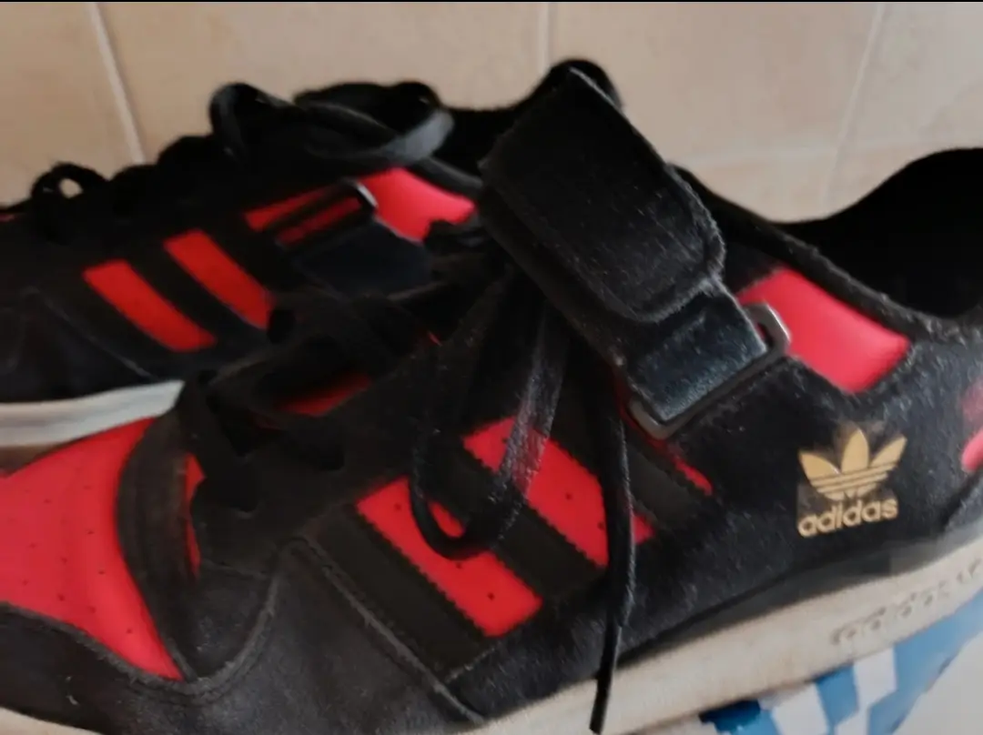 Zapatillas