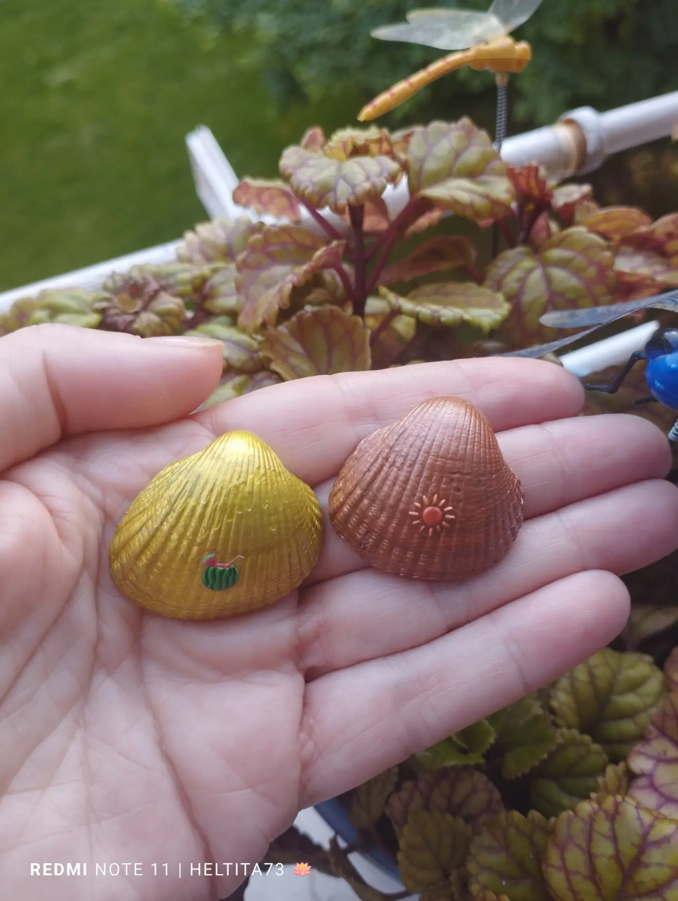 Conchas marinas estivales