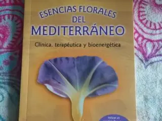 Frontal-1
