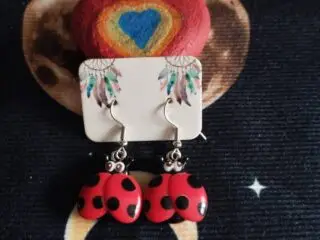 Pendientes-mariquitas