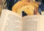 Libro Ciudadela de Brujería: Darkover VIII