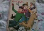 Lote libros de «los cinco»