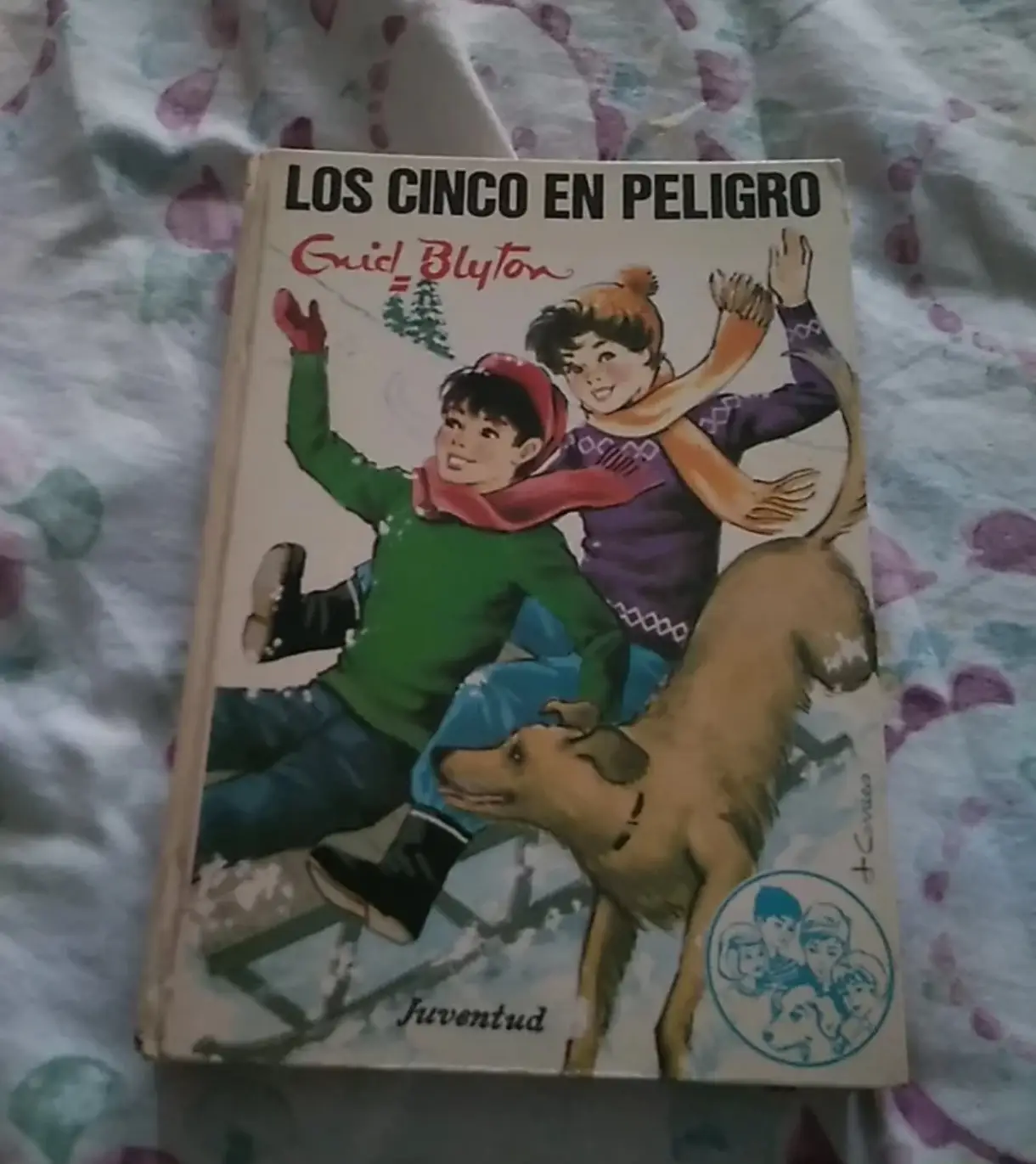 Lote libros de «los cinco»