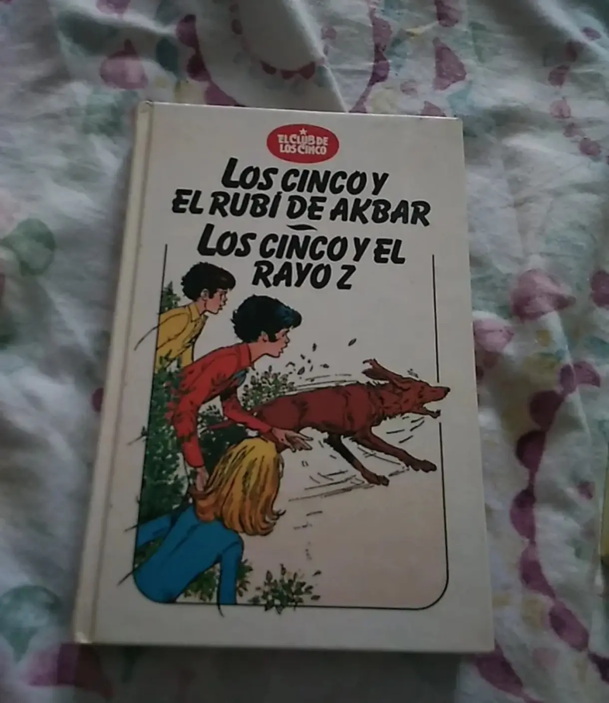 Lote libros de «los cinco»