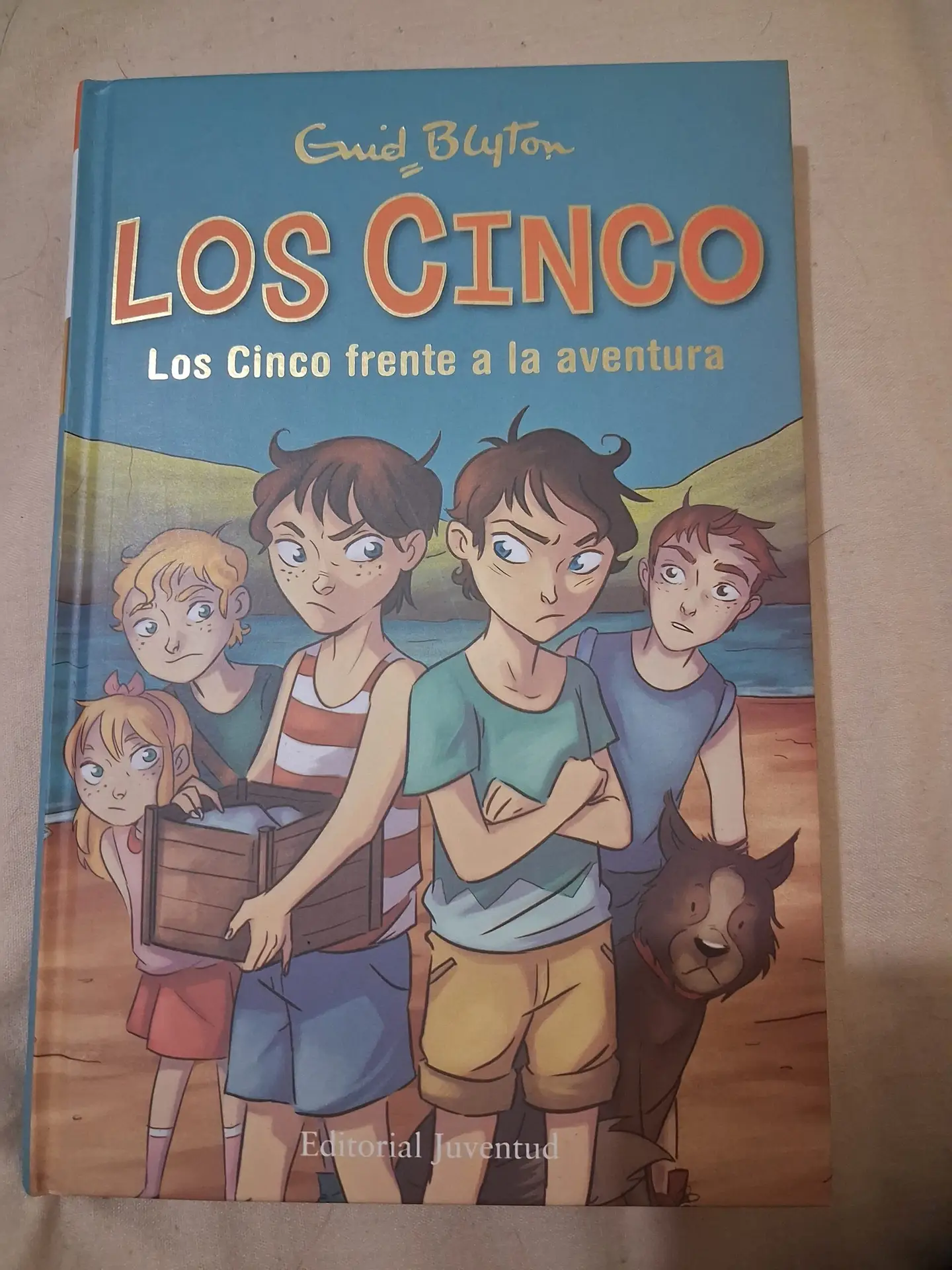 Libro «los cinco»