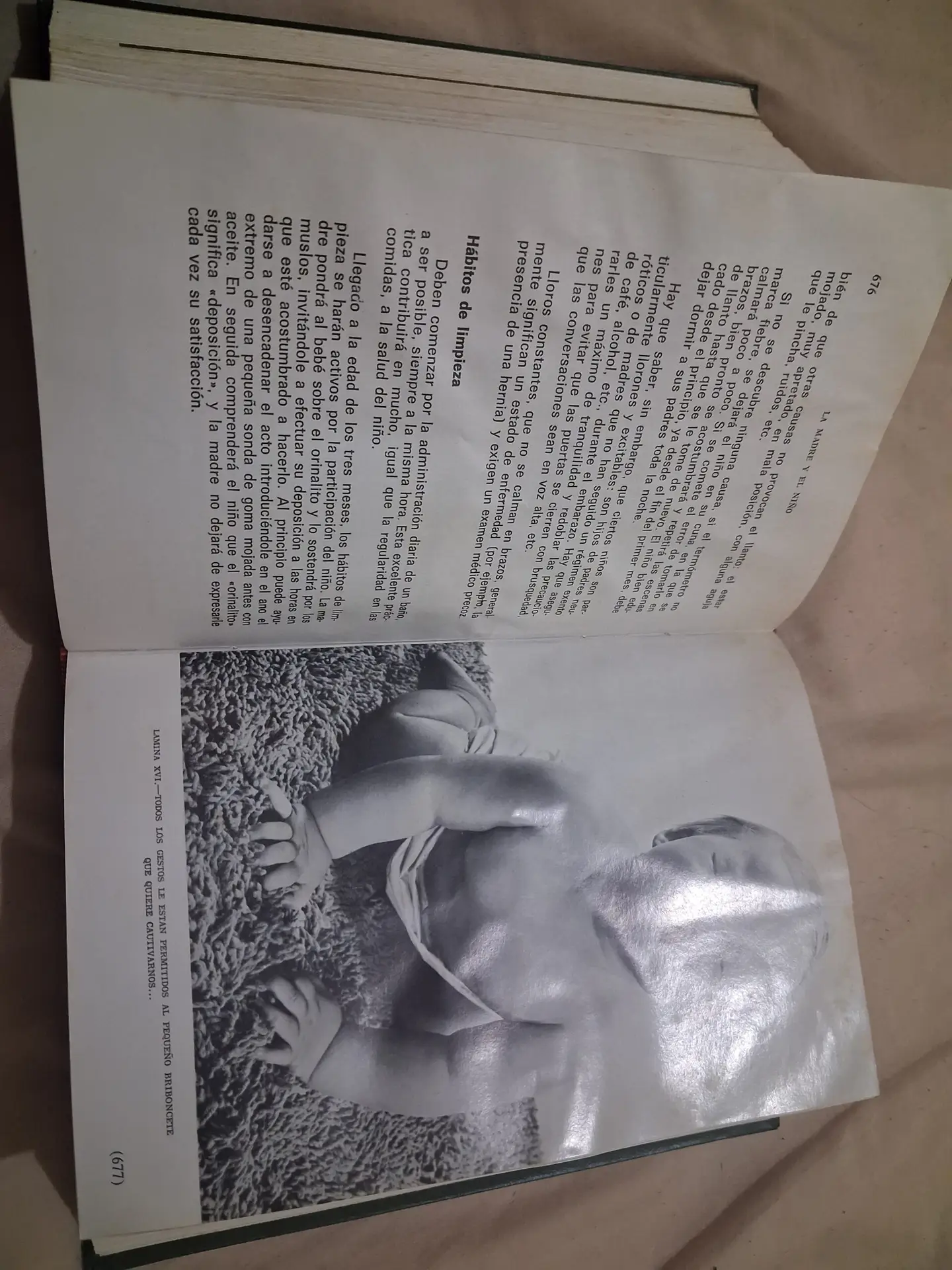 Libro maternidad » la madre y el niño»