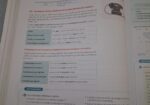 Libro lengua 2bach