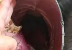 Botines negros de Hispanitas