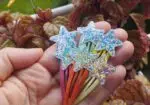 Horquillas «Estrellas»