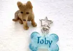 Placas identificativas para mascotas