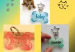 Placas identificativas para mascotas